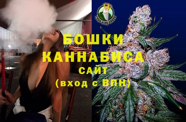 молекула духа Белоозёрский